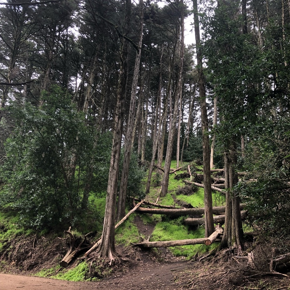 Meet your Posher, Hanna